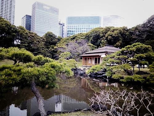 The Gardens of Tokyo